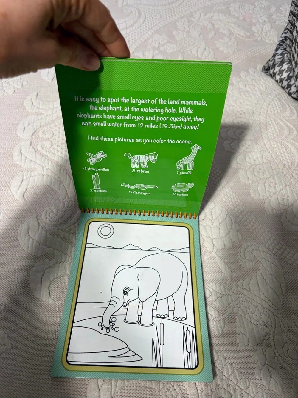 Melissa & Doug Water WOW! Reusable Water-Reveal Pads - Green, Blue, Orange